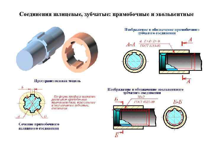 Соединения шлицевые, зубчатые: прямобочные и эвольвентные 