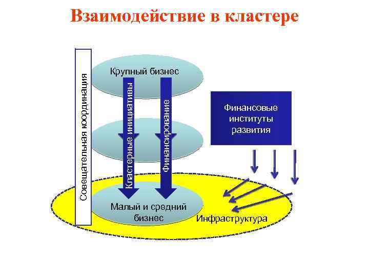 Финансирование Крупный бизнес Кластерные инициативы Совещательная координация Взаимодействие в кластере Финансовые институты развития Малый