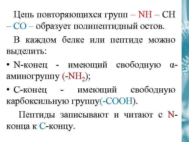 Цепь повторяющихся групп – NH – CO – образует полипептидный остов. В каждом белке