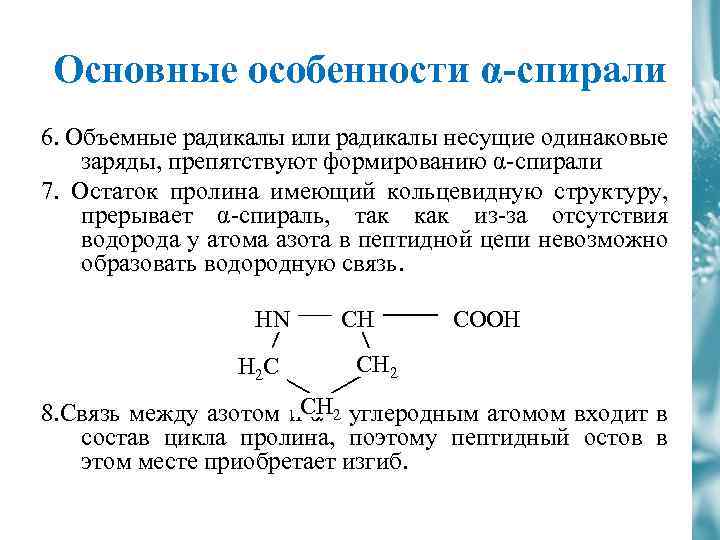 Основные особенности α-спирали 6. Объемные радикалы или радикалы несущие одинаковые заряды, препятствуют формированию α-спирали