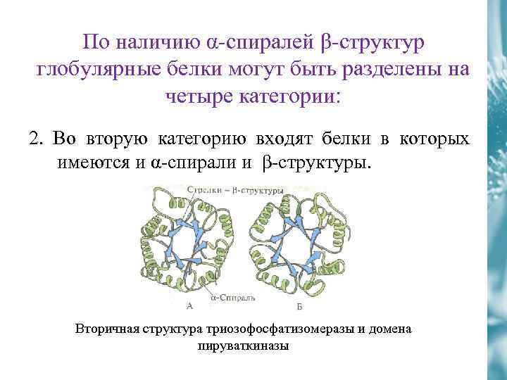 По наличию α-спиралей β-структур глобулярные белки могут быть разделены на четыре категории: 2. Во