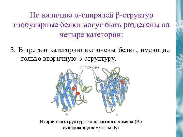 По наличию α-спиралей β-структур глобулярные белки могут быть разделены на четыре категории: 3. В