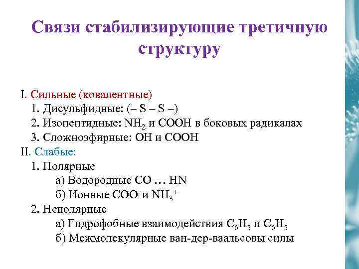 Какие связи стабилизируют вторичную структуру белков