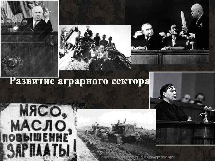 Развитие аграрного сектора 1953 -64 гг. Чупров Л. А. МОУ СОШ № 3 с.