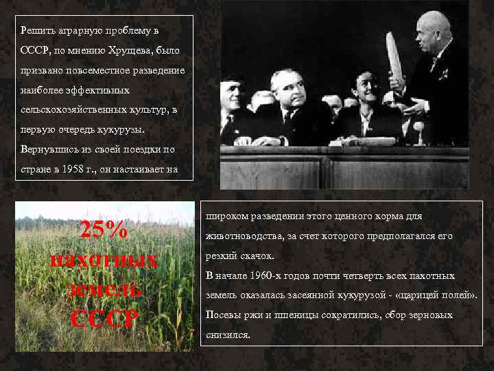 Решить аграрную проблему в СССР, по мнению Хрущева, было призвано повсеместное разведение наиболее эффективных
