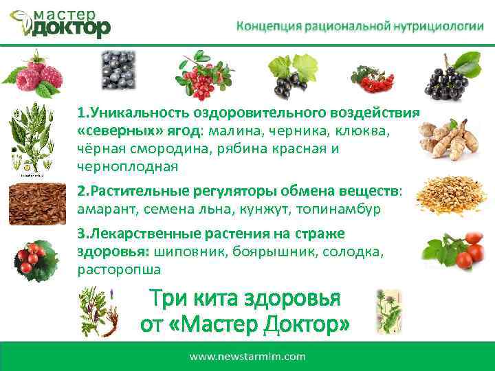 1. Уникальность оздоровительного воздействия «северных» ягод: малина, черника, клюква, ягод чёрная смородина, рябина красная