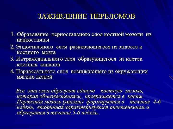 ЗАЖИВЛЕНИЕ ПЕРЕЛОМОВ 1. Образование периостального слоя костной мозоли из надкостницы 2. Эндостального слоя развивающегося
