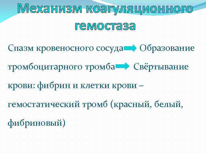 Механизм коагуляционного гемостаза Спазм кровеносного сосуда Образование тромбоцитарного тромба Свёртывание крови: фибрин и клетки