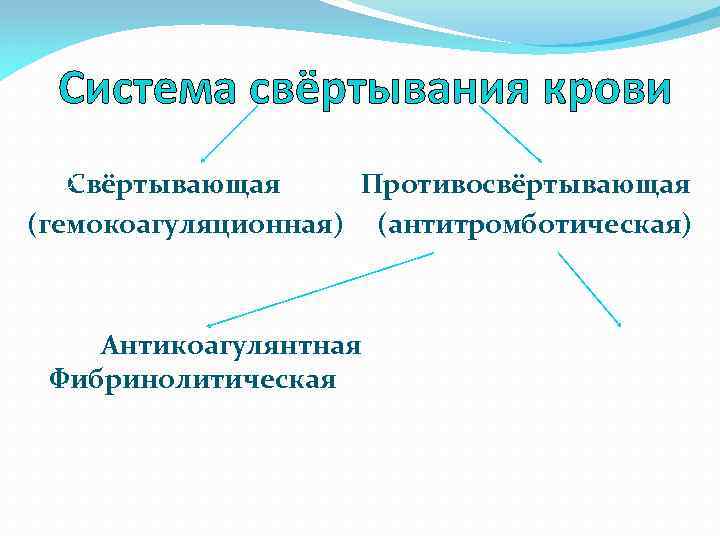 Система свёртывания крови X Свёртывающая Противосвёртывающая (гемокоагуляционная) (антитромботическая) X Антикоагулянтная Фибринолитическая 