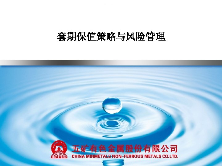 套期保值策略与风险管理 1 