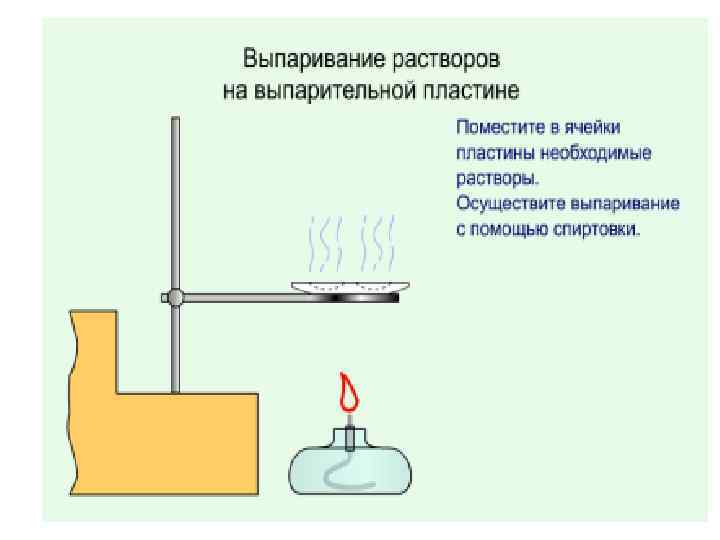 Расположите в правильном порядке пункты инструкции по правилам работы с микроскопом огэ