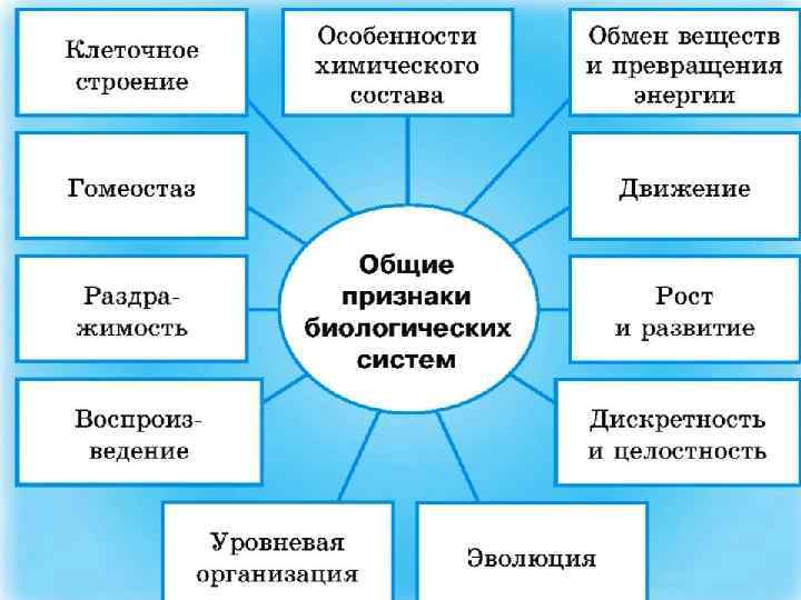 Расположите в правильном порядке пункты инструкции по правилам работы с микроскопом огэ