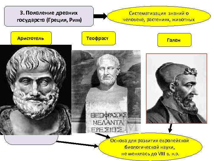 3. Появление древних государств (Греция, Рим) Аристотель Описал около 500 видов животных. Создал первую