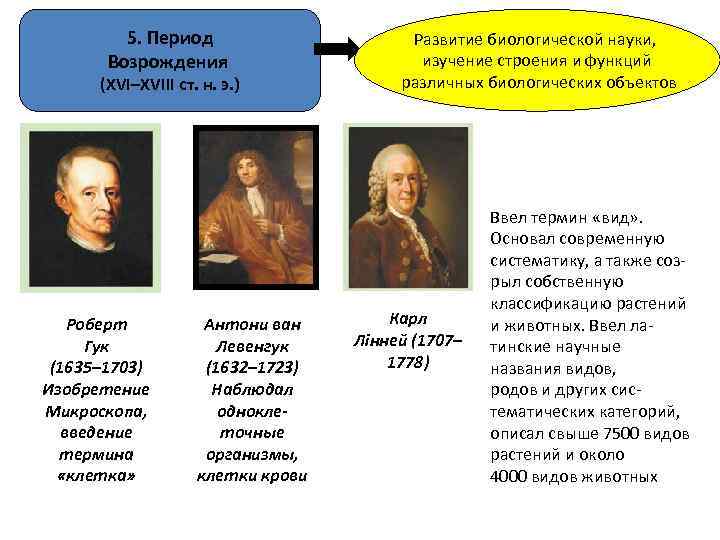 5. Период Возрождения (ХVІ–XVІІІ ст. н. э. ) Роберт Гук (1635– 1703) Изобретение Микроскопа,