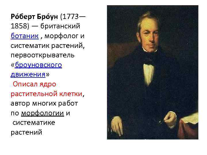 Ро берт Бро ун (1773— 1858) — британский ботаник , морфолог и систематик растений,