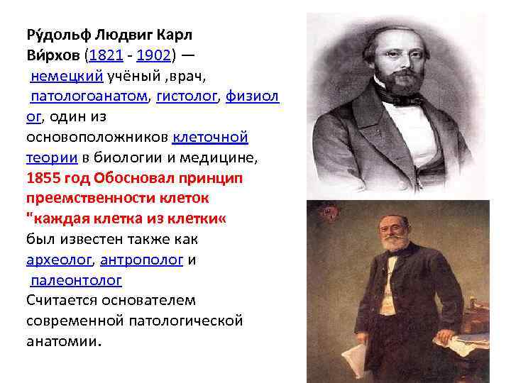 Ру дольф Людвиг Карл Ви рхов (1821 - 1902) — немецкий учёный , врач,