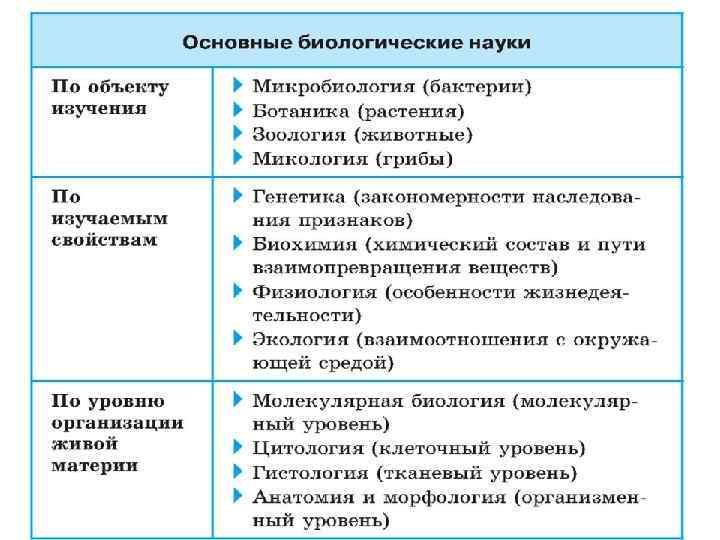 Расположите в правильном порядке пункты инструкции по правилам работы с микроскопом огэ