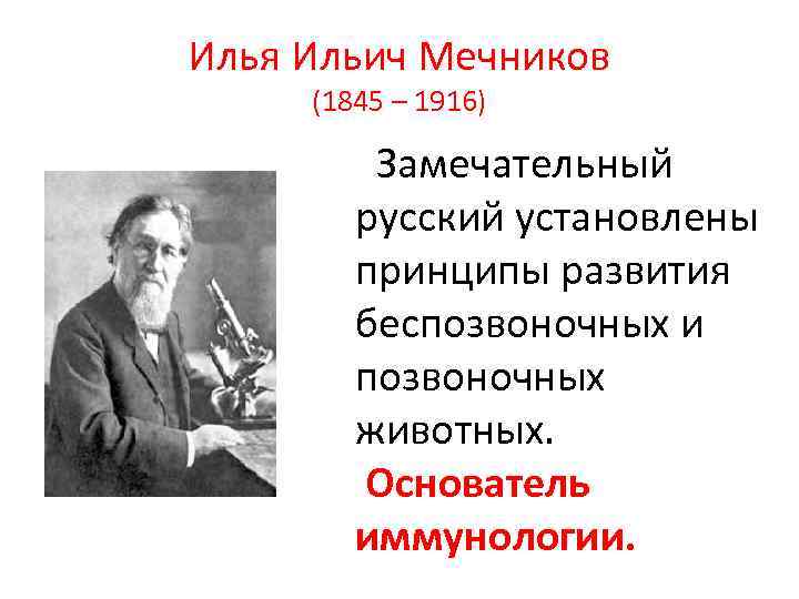 Илья Ильич Мечников (1845 – 1916) Замечательный русский установлены принципы развития беспозвоночных и позвоночных