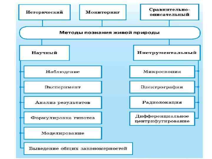 Расположите в правильном порядке пункты инструкции по правилам работы с микроскопом огэ