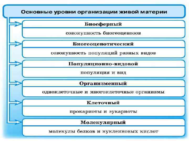 Расположите в правильном порядке пункты инструкции по правилам работы с микроскопом огэ