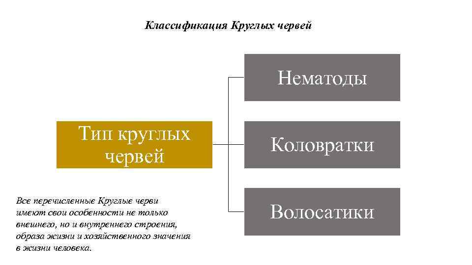 Классификация Круглых червей Нематоды Тип круглых червей Все перечисленные Круглые черви имеют свои особенности