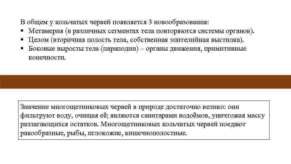 В общем у кольчатых червей появляется 3 новообразования: § Метамерия (в различных сегментах тела