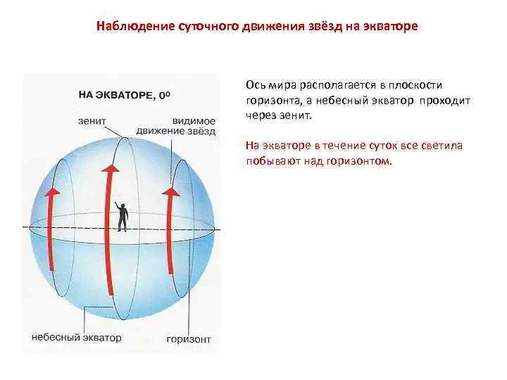 Наблюдение суточного движения звёзд на экваторе Ось мира располагается в плоскости горизонта, а небесный