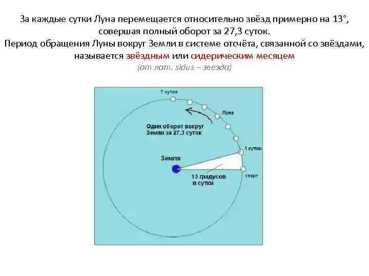 За каждые сутки Луна перемещается относительно звёзд примерно на 13°, совершая полный оборот за