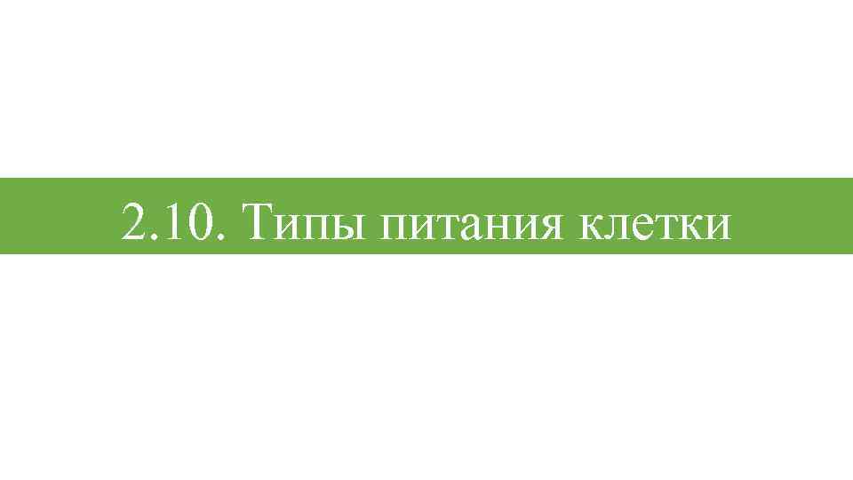 2. 10. Типы питания клетки 