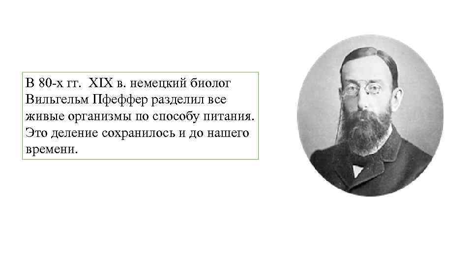 В 80 -х гг. XIX в. немецкий биолог Вильгельм Пфеффер разделил все живые организмы