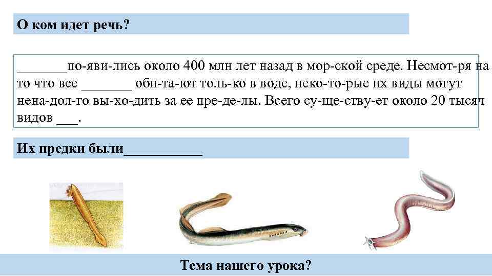 О ком идет речь? _______по яви лись около 400 млн лет назад в мор