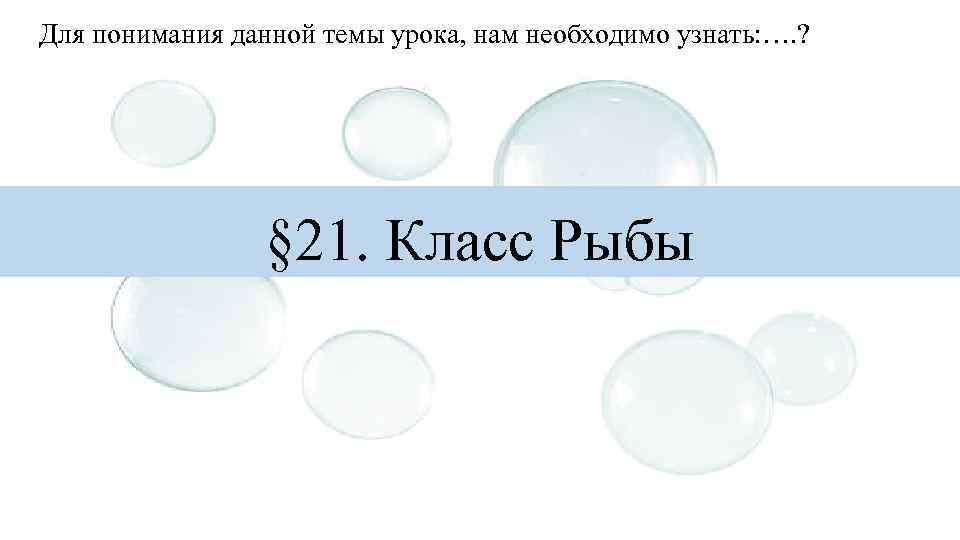 Для понимания данной темы урока, нам необходимо узнать: …. ? § 21. Класс Рыбы