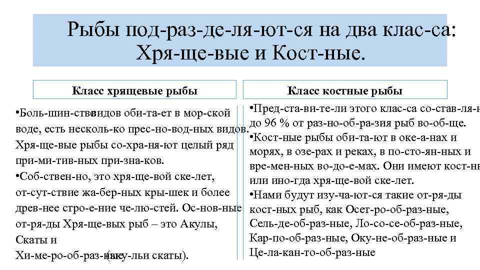 Рыбы под раз де ля ют ся на два клас са: Хря ще вые