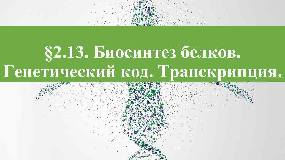 § 2. 13. Биосинтез белков. Генетический код. Транскрипция. 