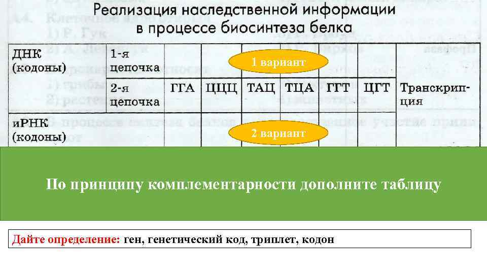 1 вариант 2 вариант По принципу комплементарности дополните таблицу Дайте определение: ген, генетический код,