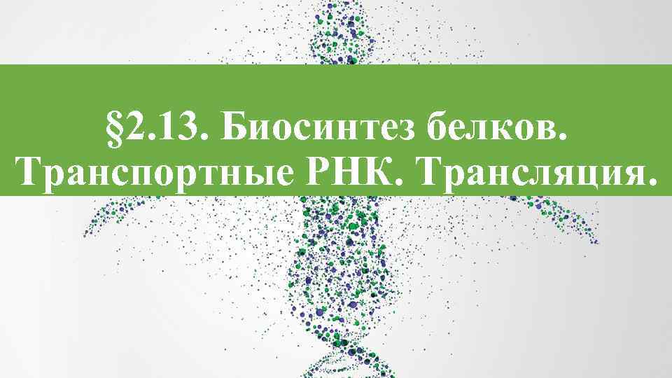 § 2. 13. Биосинтез белков. Транспортные РНК. Трансляция. 