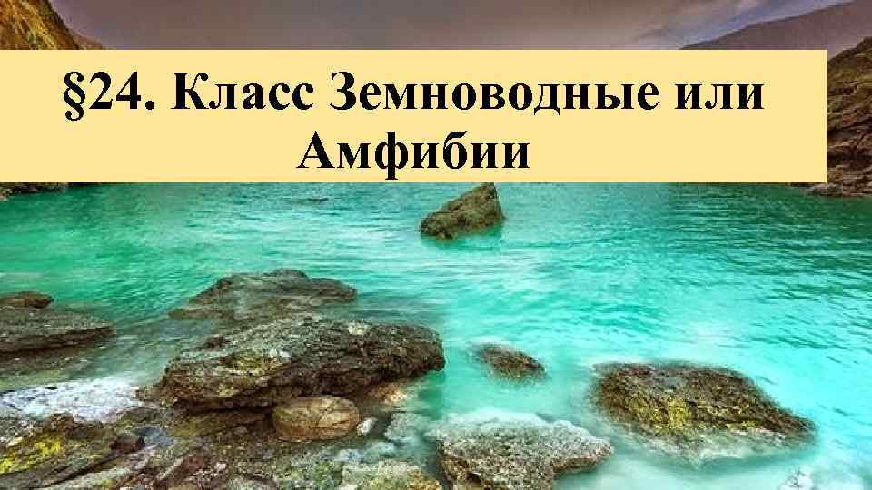 § 24. Класс Земноводные или Амфибии 