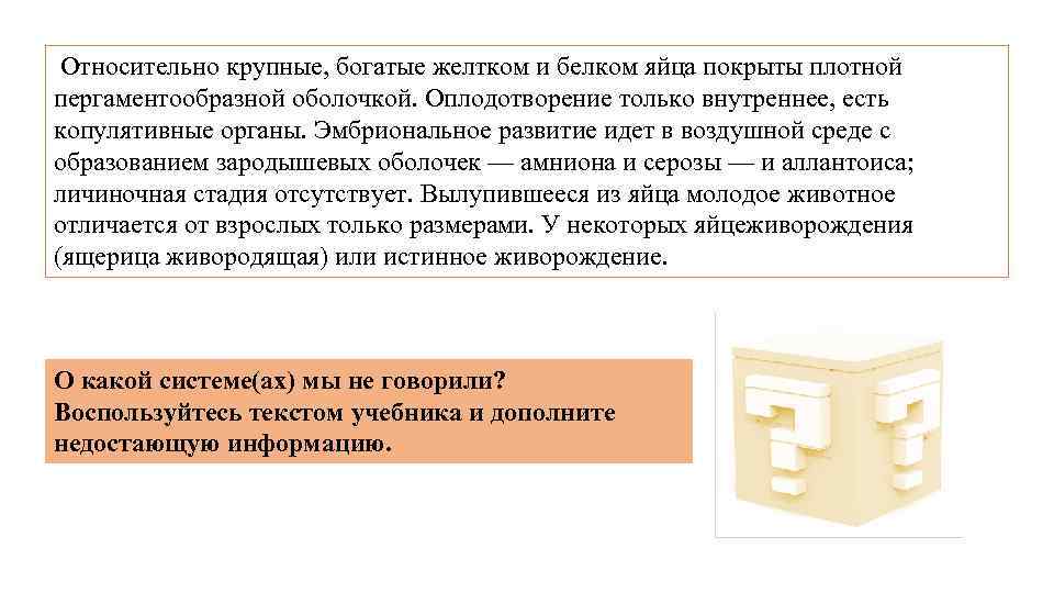  Относительно крупные, богатые желтком и белком яйца покрыты плотной пергаментообразной оболочкой. Оплодотворение только