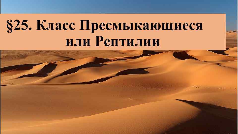 § 25. Класс Пресмыкающиеся или Рептилии 