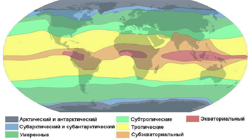 Известно около 6300 видов пресмыкающихся, которые распространены на земном шаре гораздо шире, чем земноводные.