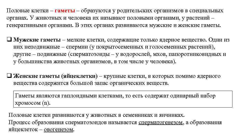 Половые клетки – гаметы – образуются у родительских организмов в специальных органах. У животных