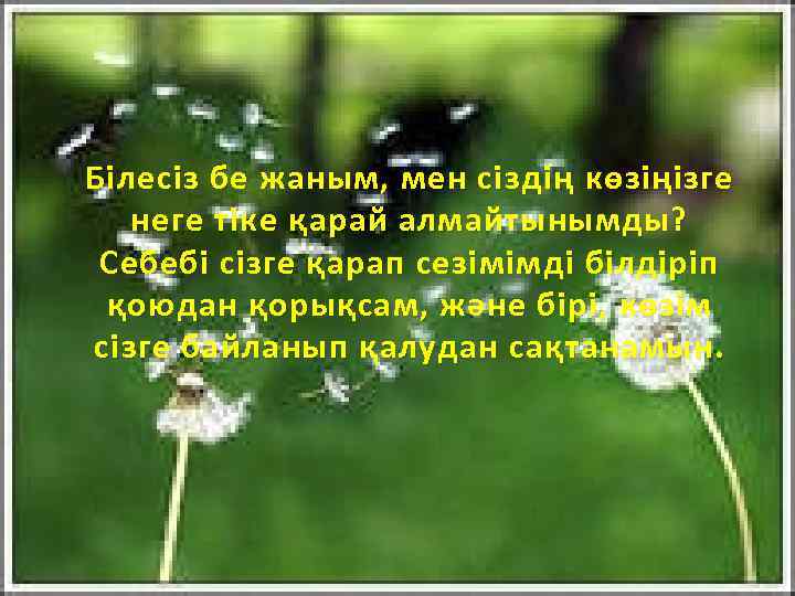 Б ілесіз бе жаным, мен сіздің көзіңізге неге тіке қарай алмайтынымды? Себебі сізге қарап
