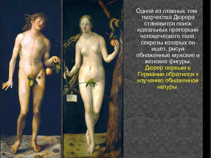 Одной из главных тем творчества Дюрера становится поиск идеальных пропорций человеческого тела, секреты которых
