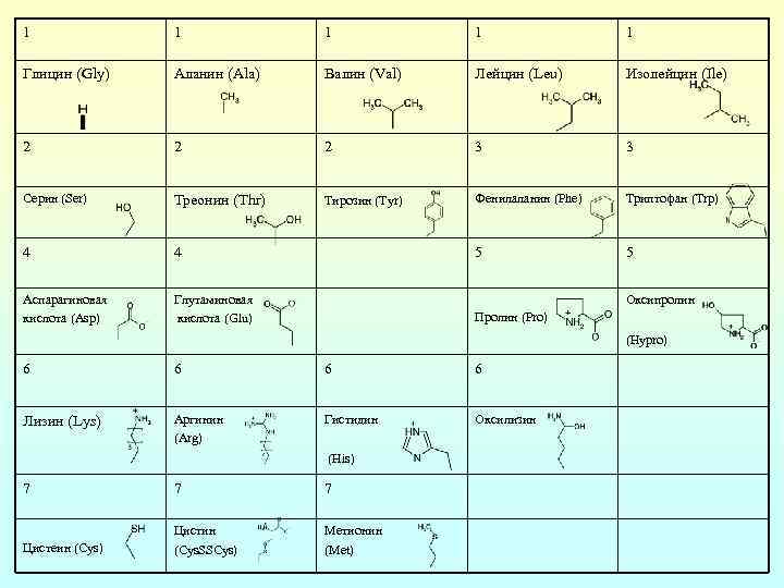 1 1 1 Глицин (Gly) Аланин (Ala) Валин (Val) Лейцин (Leu) Изолейцин (Ile) 2