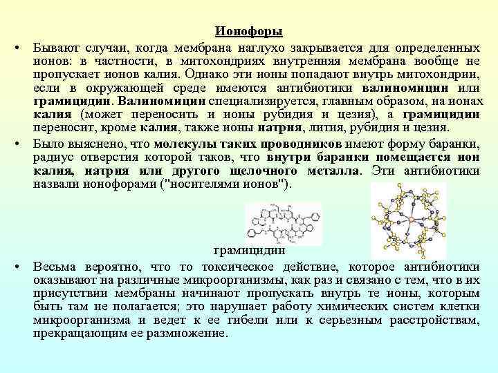 Ионофоры • Бывают случаи, когда мембрана наглухо закрывается для определенных ионов: в частности, в