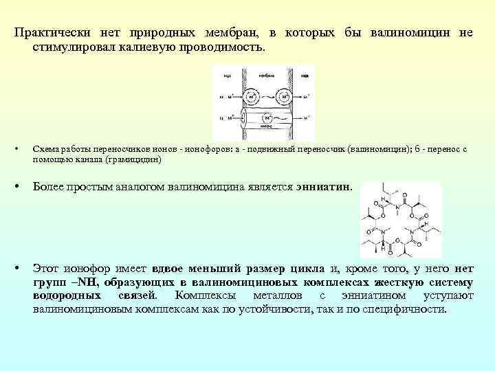 Практически нет природных мембран, в которых бы валиномицин не стимулировал калиевую проводимость. • Схема