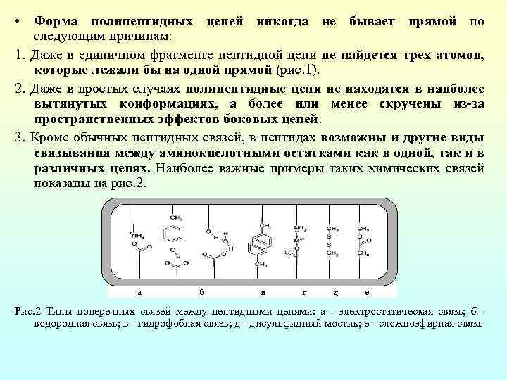  • Форма полипептидных цепей никогда не бывает прямой по следующим причинам: 1. Даже