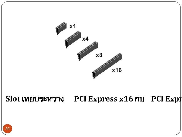  Slot เทยบระหวาง 30 PCI Express x 16 กบ PCI Expr 