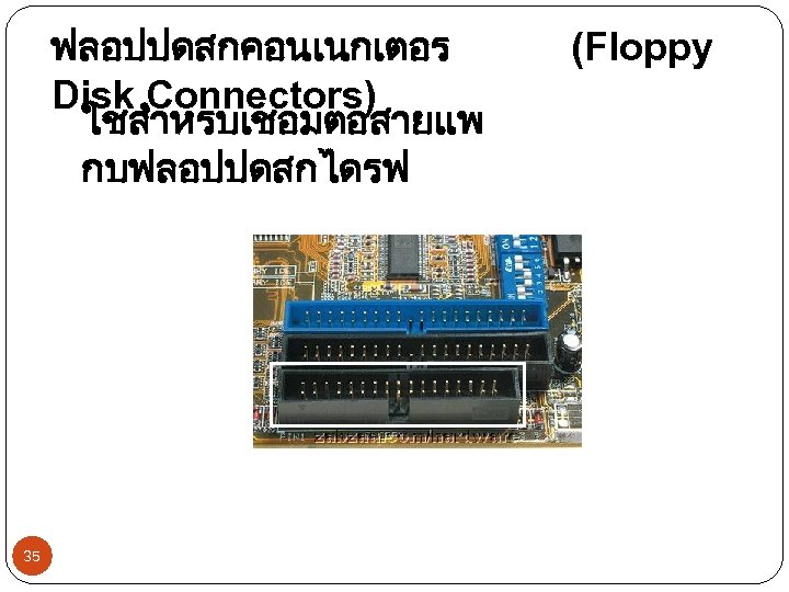 ฟลอปปดสกคอนเนกเตอร Disk Connectors) ใชสำหรบเชอมตอสายแพ กบฟลอปปดสกไดรฟ 35 (Floppy 