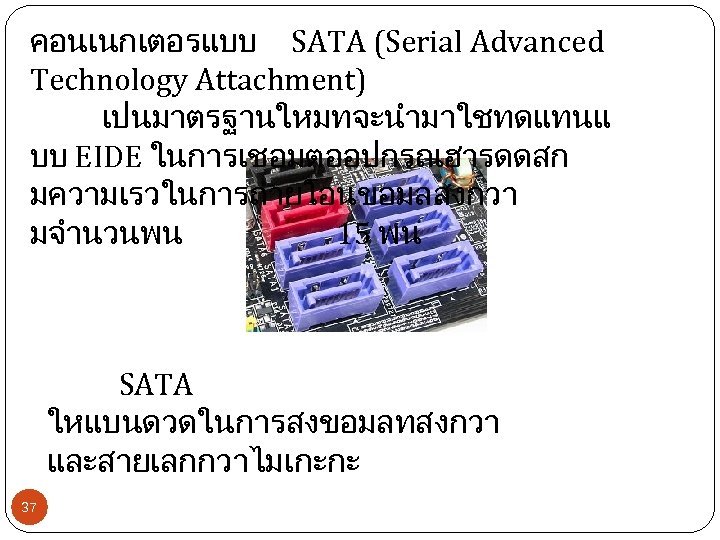 คอนเนกเตอรแบบ SATA (Serial Advanced Technology Attachment) เปนมาตรฐานใหมทจะนำมาใชทดแทนแ บบ EIDE ในการเชอมตออปกรณฮารดดสก มความเรวในการถายโอนขอมลสงกวา มจำนวนพน 15 พน